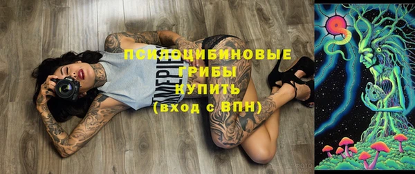 ПСИЛОЦИБИНОВЫЕ ГРИБЫ Алзамай