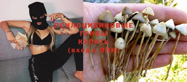 mix Алексин