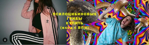 ALPHA-PVP Алексеевка