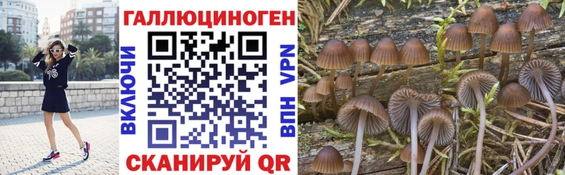 продажа наркотиков  Старая Русса  Галлюциногенные грибы Magic Shrooms 